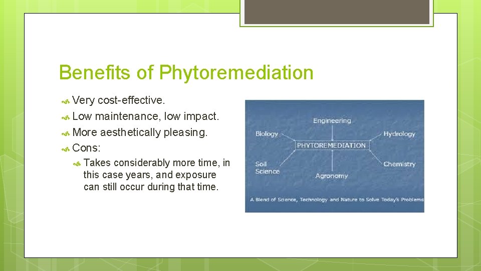 Benefits of Phytoremediation Very cost-effective. Low maintenance, low impact. More aesthetically pleasing. Cons: Takes