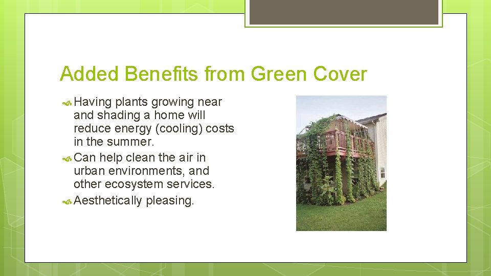 Added Benefits from Green Cover Having plants growing near and shading a home will