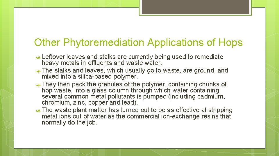 Other Phytoremediation Applications of Hops Leftover leaves and stalks are currently being used to