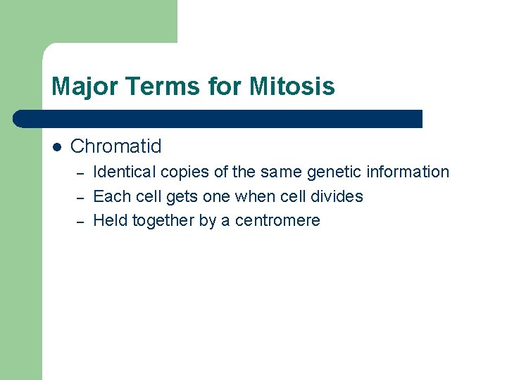 Major Terms for Mitosis l Chromatid – – – Identical copies of the same