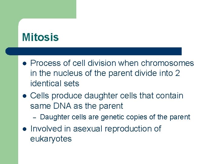Mitosis l l Process of cell division when chromosomes in the nucleus of the