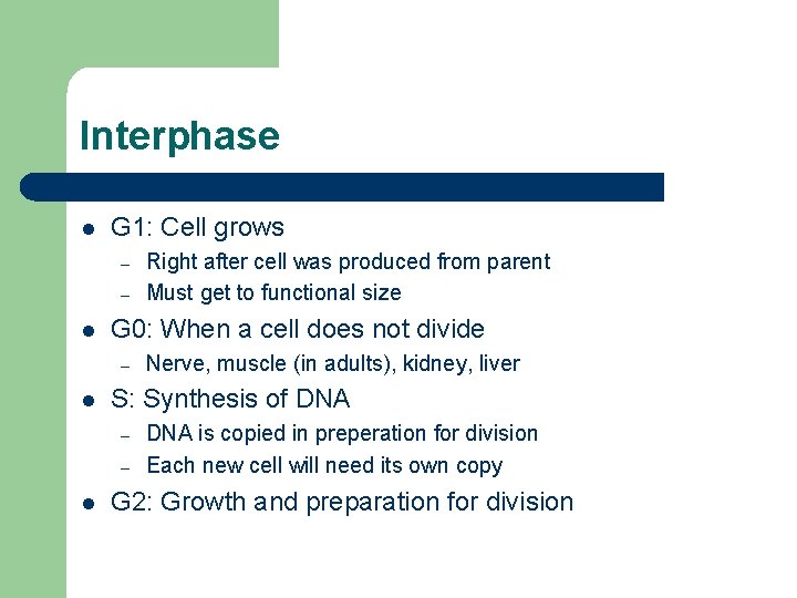 Interphase l G 1: Cell grows – – l G 0: When a cell