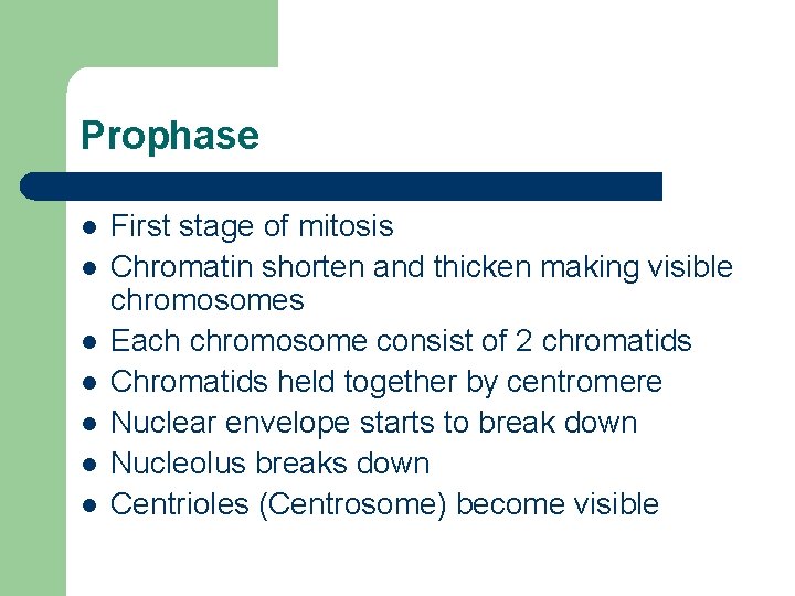 Prophase l l l l First stage of mitosis Chromatin shorten and thicken making