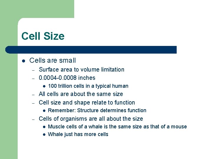 Cell Size l Cells are small – – Surface area to volume limitation 0.