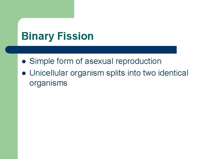 Binary Fission l l Simple form of asexual reproduction Unicellular organism splits into two