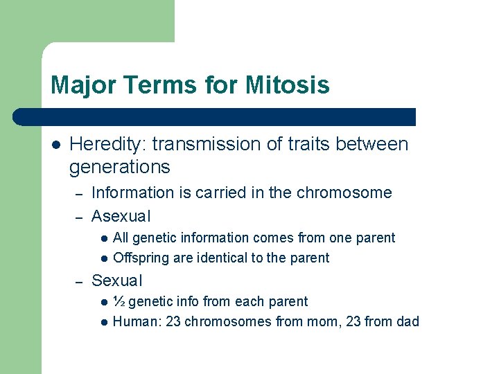 Major Terms for Mitosis l Heredity: transmission of traits between generations – – Information