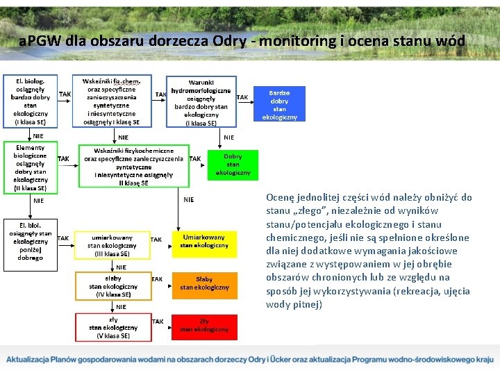 a. PGW dla obszaru dorzecza Odry - monitoring i ocena stanu wód Ocenę jednolitej