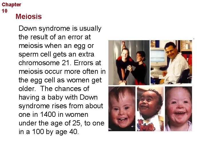 Chapter 10 Sexual Reproduction and Genetics Meiosis Down syndrome is usually the result of