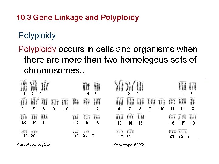 Sexual Reproduction and Genetics 10. 3 Gene Linkage and Polyploidy occurs in cells and