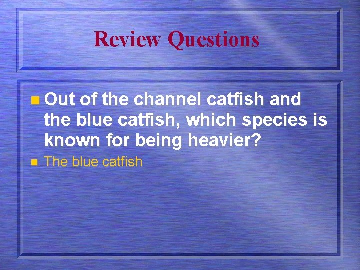 Review Questions n Out of the channel catfish and the blue catfish, which species