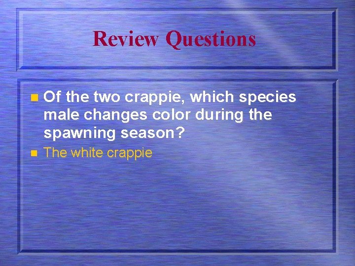 Review Questions n Of the two crappie, which species male changes color during the