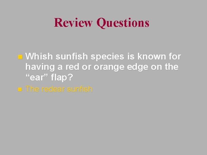 Review Questions n Whish sunfish species is known for having a red or orange