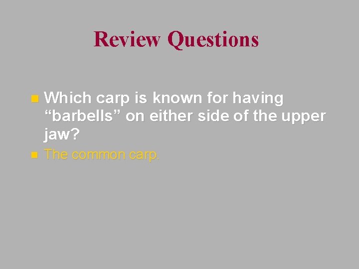 Review Questions n Which carp is known for having “barbells” on either side of