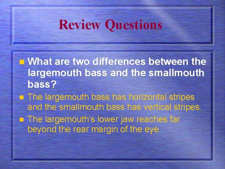 Review Questions n What are two differences between the largemouth bass and the smallmouth