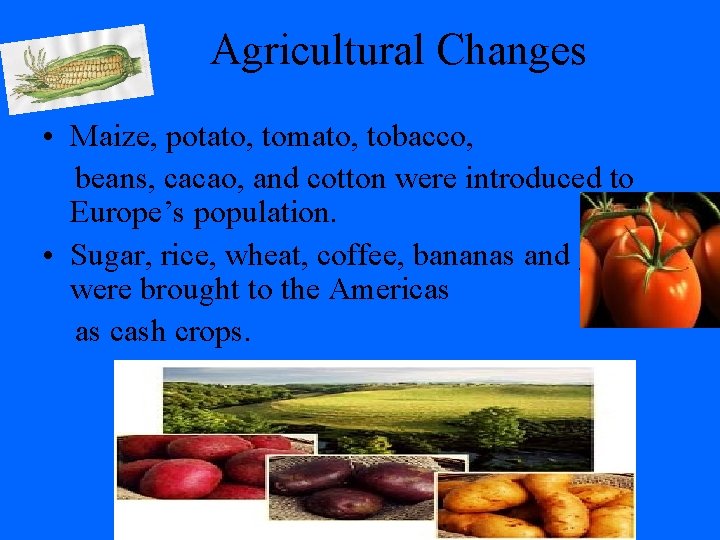 Agricultural Changes • Maize, potato, tomato, tobacco, beans, cacao, and cotton were introduced to