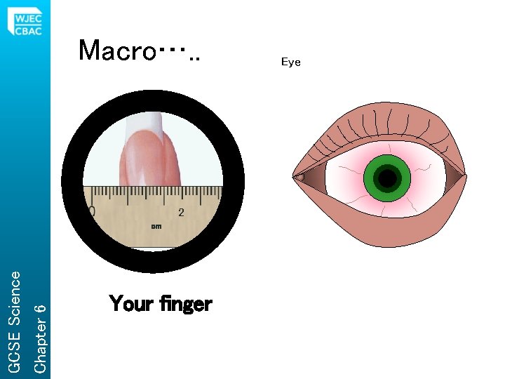 Macro…. . 2 Chapter 6 GCSE Science cm Your finger Eye 