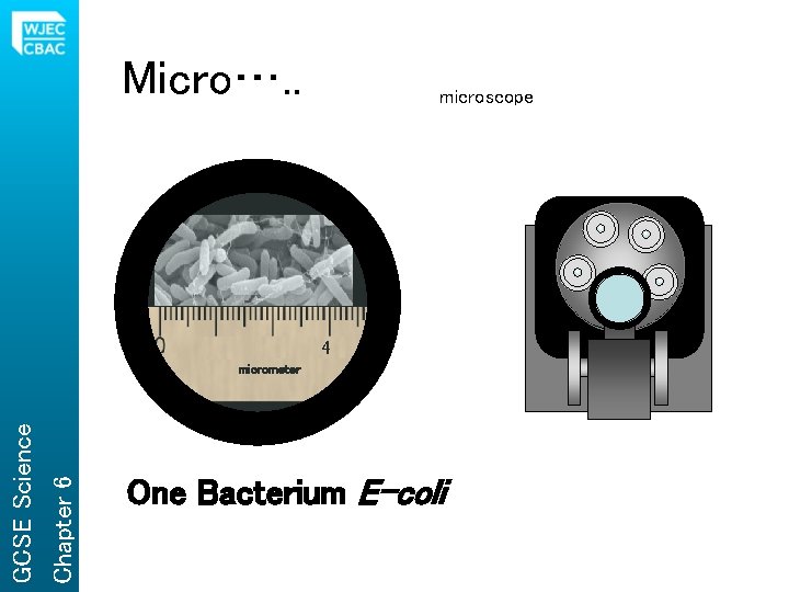 Micro…. . microscope 4 Chapter 6 GCSE Science micrometer One Bacterium E-coli 