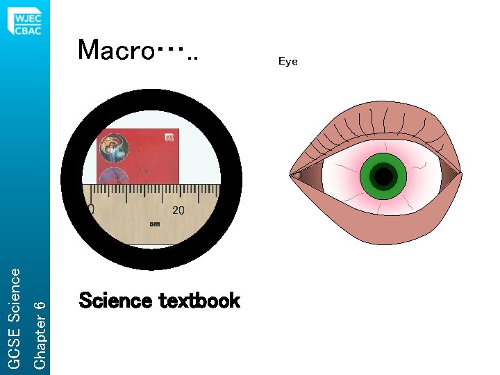 Macro…. . 20 Chapter 6 GCSE Science cm Science textbook Eye 