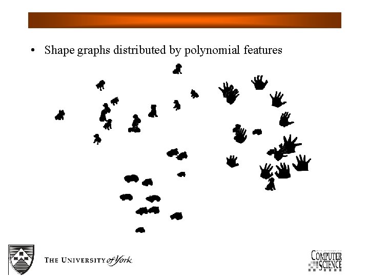  • Shape graphs distributed by polynomial features 