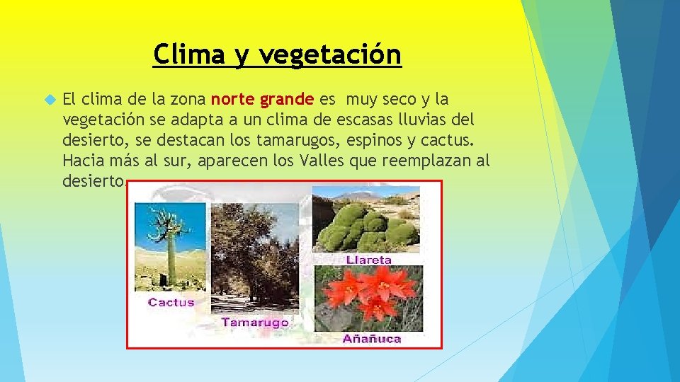 Clima y vegetación El clima de la zona norte grande es muy seco y