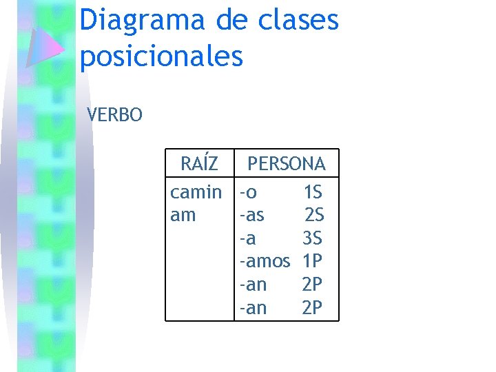 Diagrama de clases posicionales VERBO RAÍZ PERSONA camin -o 1 S am -as 2 Diagrama de clases posicionales VERBO RAÍZ PERSONA camin -o 1 S am -as 2