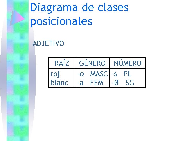 Diagrama de clases posicionales ADJETIVO RAÍZ roj blanc GÉNERO NÚMERO -o MASC -s PL Diagrama de clases posicionales ADJETIVO RAÍZ roj blanc GÉNERO NÚMERO -o MASC -s PL