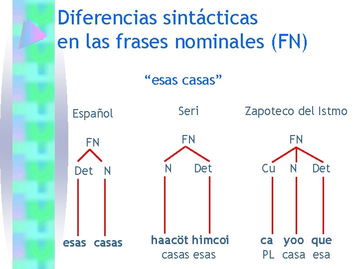 Diferencias sintácticas en las frases nominales (FN) “esas casas” Español Seri Zapoteco del Istmo Diferencias sintácticas en las frases nominales (FN) “esas casas” Español Seri Zapoteco del Istmo