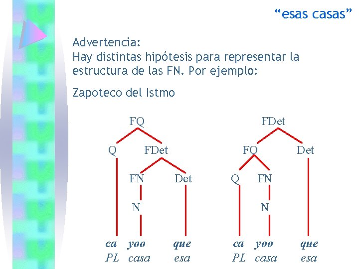 “esas casas” Advertencia: Hay distintas hipótesis para representar la estructura de las FN. Por “esas casas” Advertencia: Hay distintas hipótesis para representar la estructura de las FN. Por