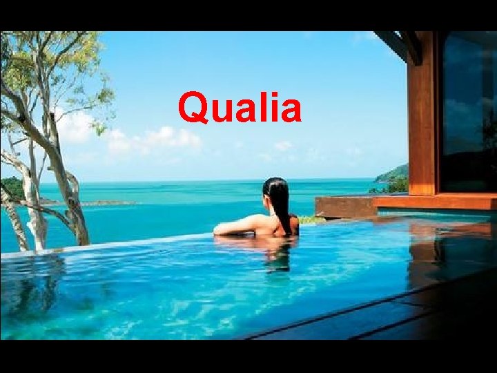 Qualia 