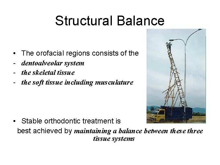 Structural Balance • - The orofacial regions consists of the dentoalveolar system the skeletal
