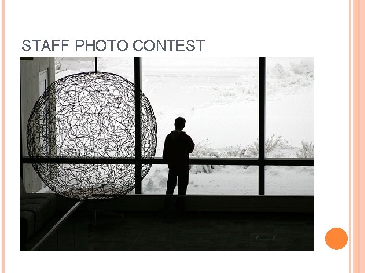 STAFF PHOTO CONTEST 