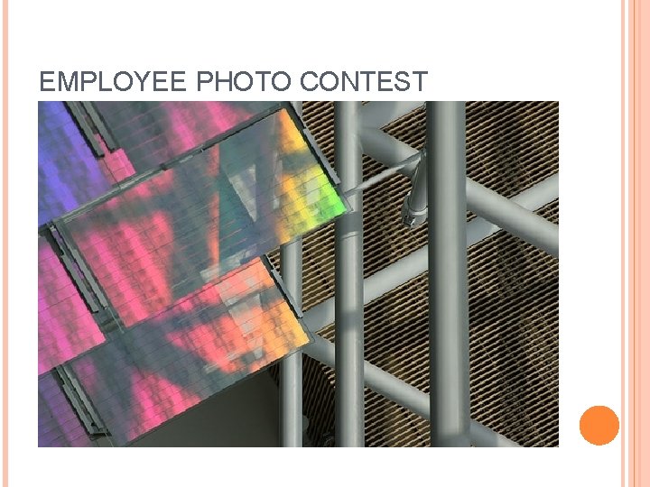 EMPLOYEE PHOTO CONTEST 