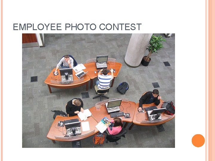 EMPLOYEE PHOTO CONTEST 