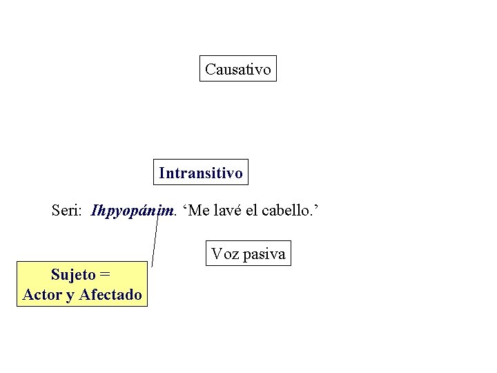 Causativo Intransitivo Seri: Ihpyopánim. ‘Me lavé el cabello. ’ Voz pasiva Sujeto = Actor Causativo Intransitivo Seri: Ihpyopánim. ‘Me lavé el cabello. ’ Voz pasiva Sujeto = Actor