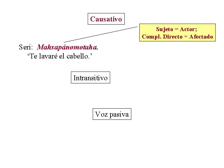 Causativo Sujeto = Actor; Compl. Directo = Afectado Seri: Mahsapánomotaha. ‘Te lavaré el cabello. Causativo Sujeto = Actor; Compl. Directo = Afectado Seri: Mahsapánomotaha. ‘Te lavaré el cabello.