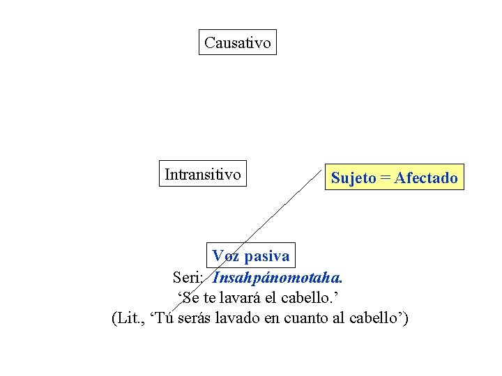 Causativo Intransitivo Sujeto = Afectado Voz pasiva Seri: Insahpánomotaha. ‘Se te lavará el cabello. Causativo Intransitivo Sujeto = Afectado Voz pasiva Seri: Insahpánomotaha. ‘Se te lavará el cabello.