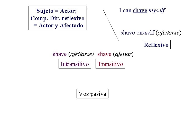 I can shave myself. Sujeto = Actor; Comp. Dir. reflexivo = Actor y Afectado I can shave myself. Sujeto = Actor; Comp. Dir. reflexivo = Actor y Afectado