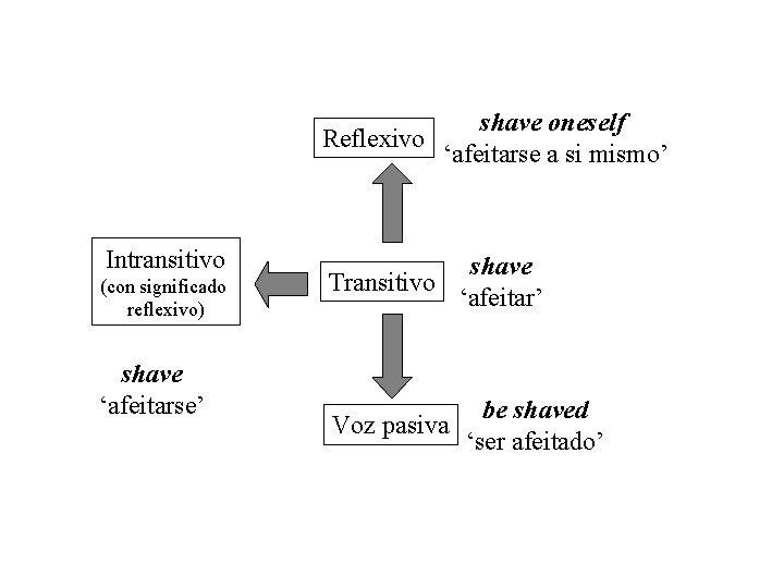 Reflexivo Intransitivo (con significado reflexivo) shave ‘afeitarse’ shave oneself ‘afeitarse a si mismo’ Transitivo Reflexivo Intransitivo (con significado reflexivo) shave ‘afeitarse’ shave oneself ‘afeitarse a si mismo’ Transitivo