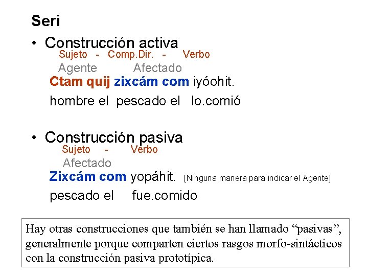 Seri • Construcción activa Sujeto - Comp. Dir. - Agente Verbo Afectado Ctam quij Seri • Construcción activa Sujeto - Comp. Dir. - Agente Verbo Afectado Ctam quij