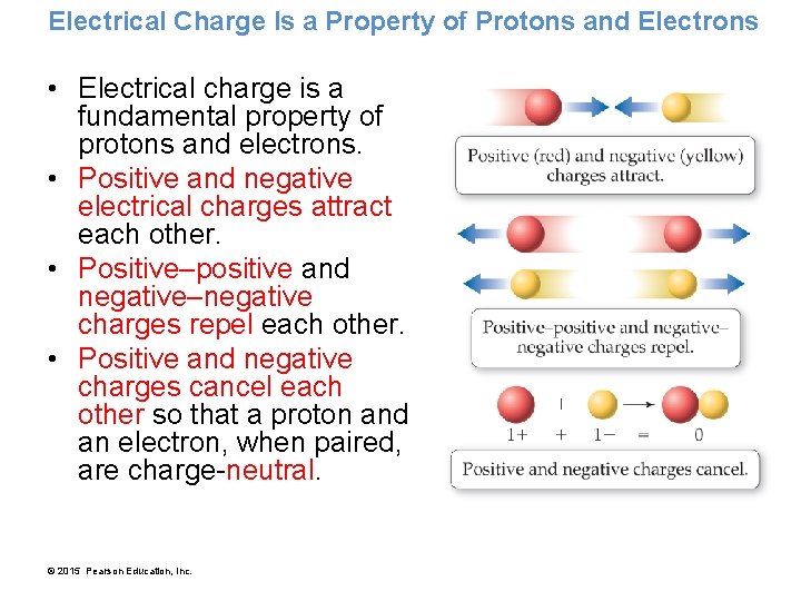 Electrical Charge Is a Property of Protons and Electrons • Electrical charge is a