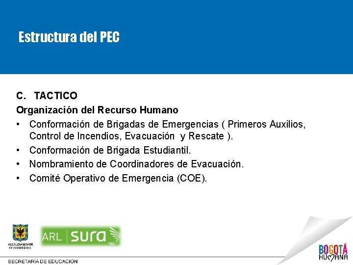 Estructura del PEC C. TACTICO Organización del Recurso Humano • Conformación de Brigadas de