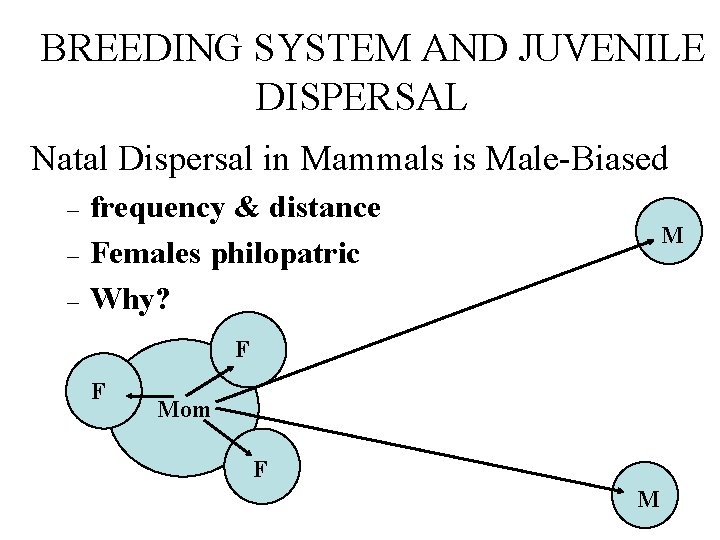 BREEDING SYSTEM AND JUVENILE DISPERSAL Natal Dispersal in Mammals is Male-Biased – – –