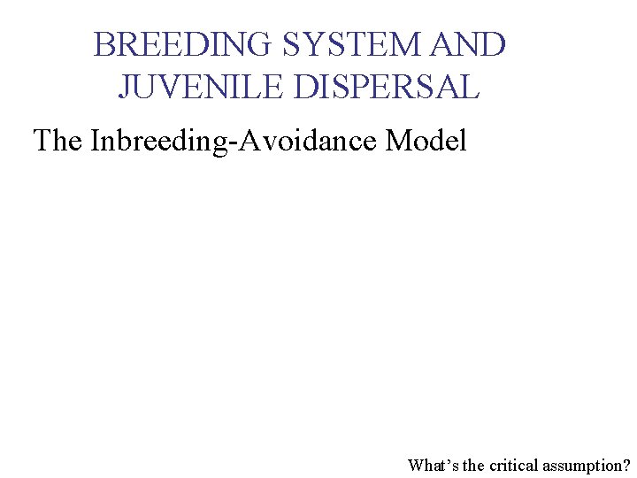 BREEDING SYSTEM AND JUVENILE DISPERSAL The Inbreeding-Avoidance Model What’s the critical assumption? 