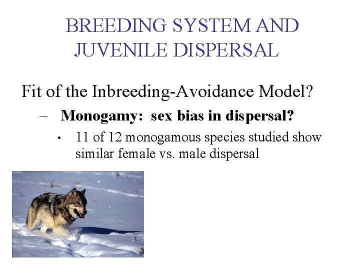 BREEDING SYSTEM AND JUVENILE DISPERSAL Fit of the Inbreeding-Avoidance Model? – Monogamy: sex bias