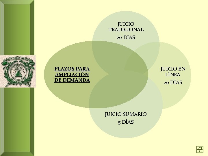 JUICIO TRADICIONAL 20 DIAS PLAZOS PARA AMPLIACIÓN DE DEMANDA JUICIO EN LÍNEA 20 DÍAS