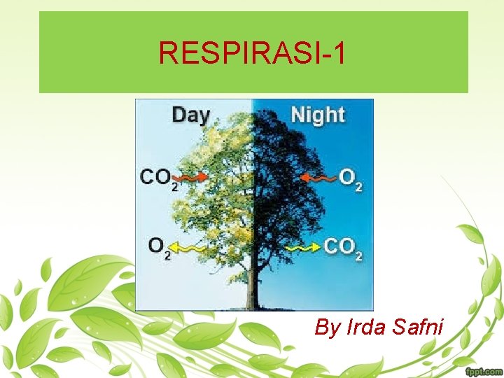 RESPIRASI-1 By Irda Safni 
