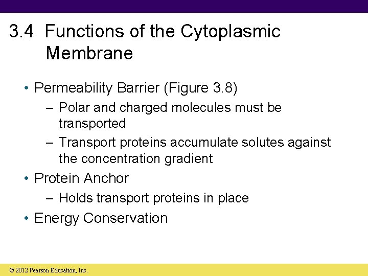 3. 4 Functions of the Cytoplasmic Membrane • Permeability Barrier (Figure 3. 8) –