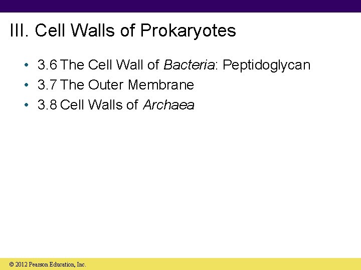 III. Cell Walls of Prokaryotes • 3. 6 The Cell Wall of Bacteria: Peptidoglycan