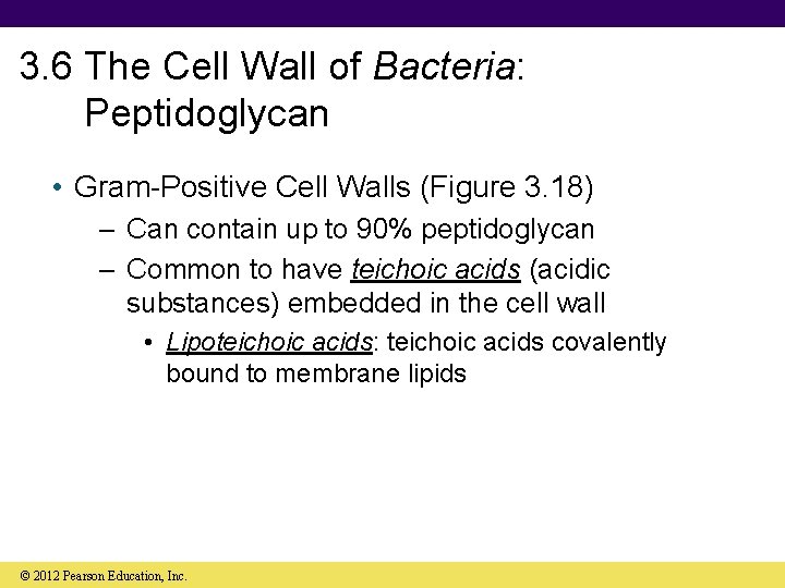 3. 6 The Cell Wall of Bacteria: Peptidoglycan • Gram-Positive Cell Walls (Figure 3.