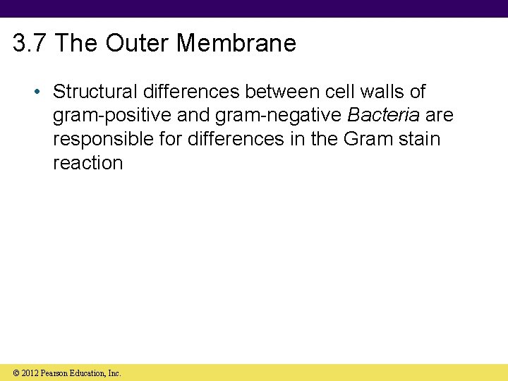 3. 7 The Outer Membrane • Structural differences between cell walls of gram-positive and
